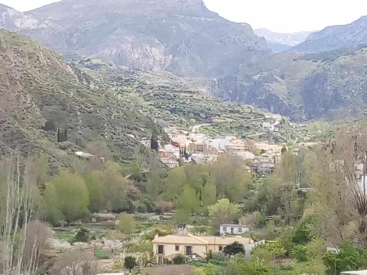 Casa Rural Las Huertas De Roque Моначиль Экстерьер фото