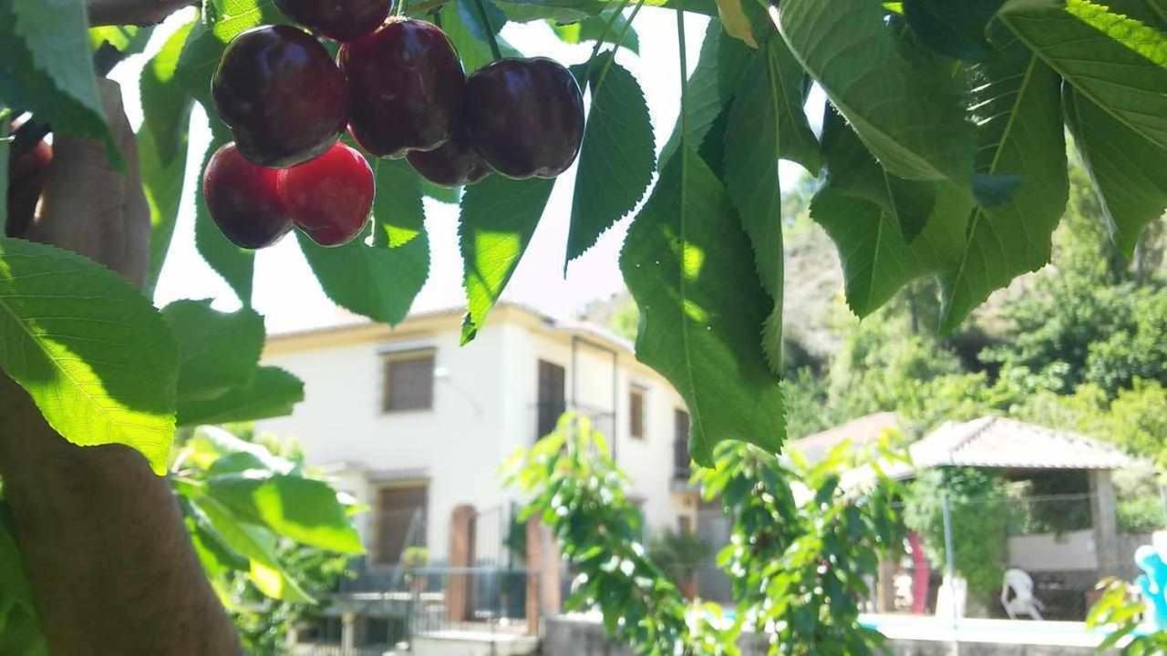 Casa Rural Las Huertas De Roque Моначиль Экстерьер фото