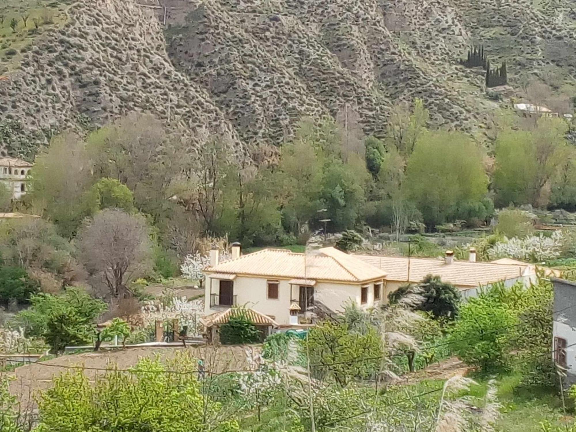 Casa Rural Las Huertas De Roque Моначиль Номер фото