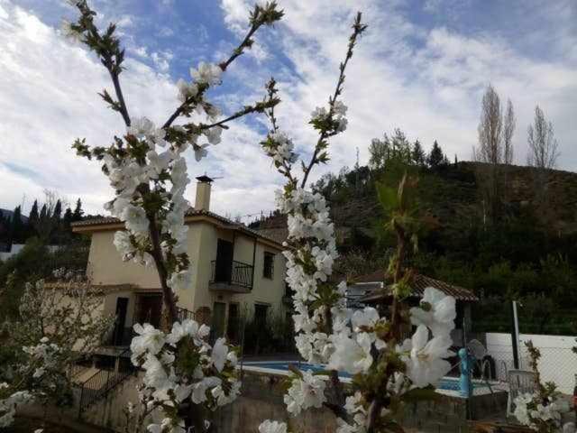 Casa Rural Las Huertas De Roque Моначиль Номер фото