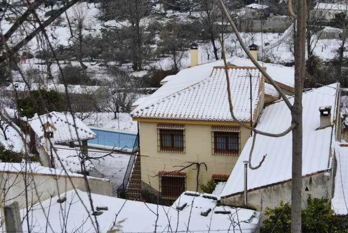 Casa Rural Las Huertas De Roque Моначиль Номер фото