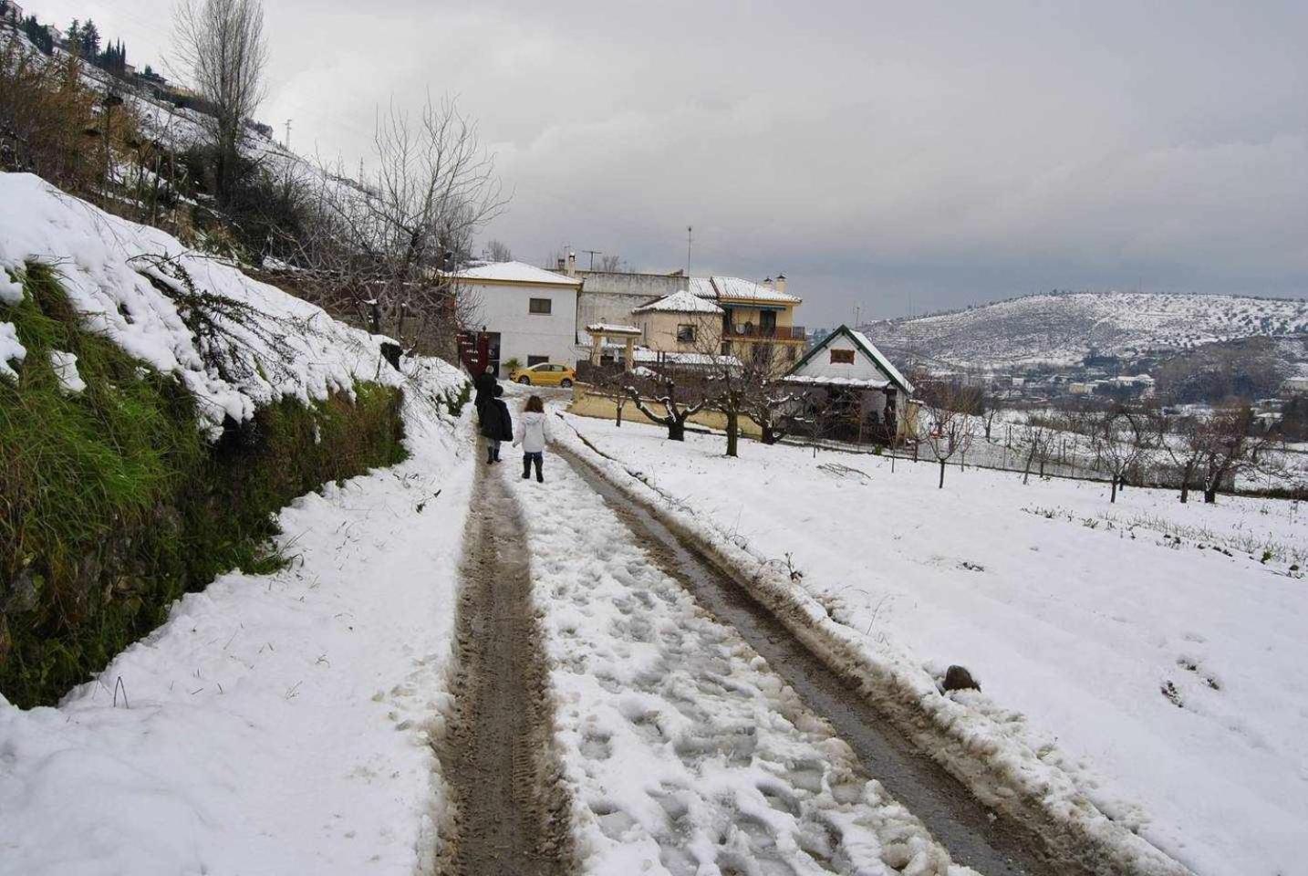 Casa Rural Las Huertas De Roque Моначиль Номер фото